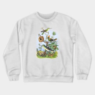 BIRDS Wildlife Illustration Crewneck Sweatshirt